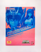 Pegasus Seiya Broken Version & Kido Aaori Original Color Edition