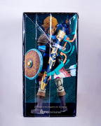 Link Tears Of the kingdom DX Edition